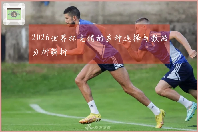 2026世界杯竞猜的多种选择与数据分析解析